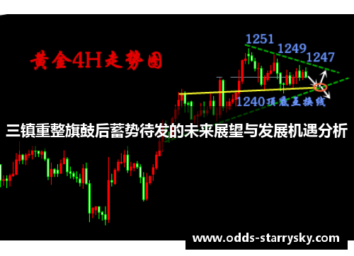 三镇重整旗鼓后蓄势待发的未来展望与发展机遇分析