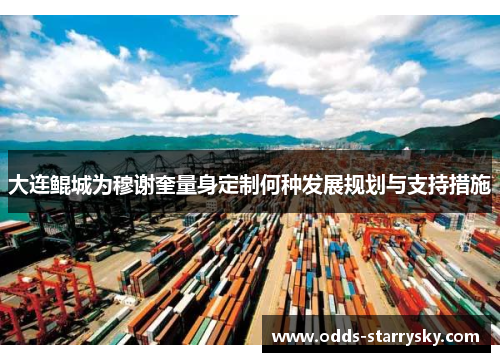 大连鲲城为穆谢奎量身定制何种发展规划与支持措施