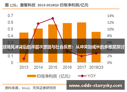 球场风波背后的深层次原因与社会反思：从冲突到成长的多维度探讨