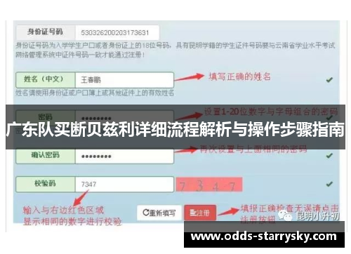 广东队买断贝兹利详细流程解析与操作步骤指南